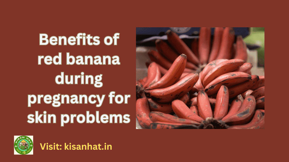 Benefits of red banana during pregnancy
